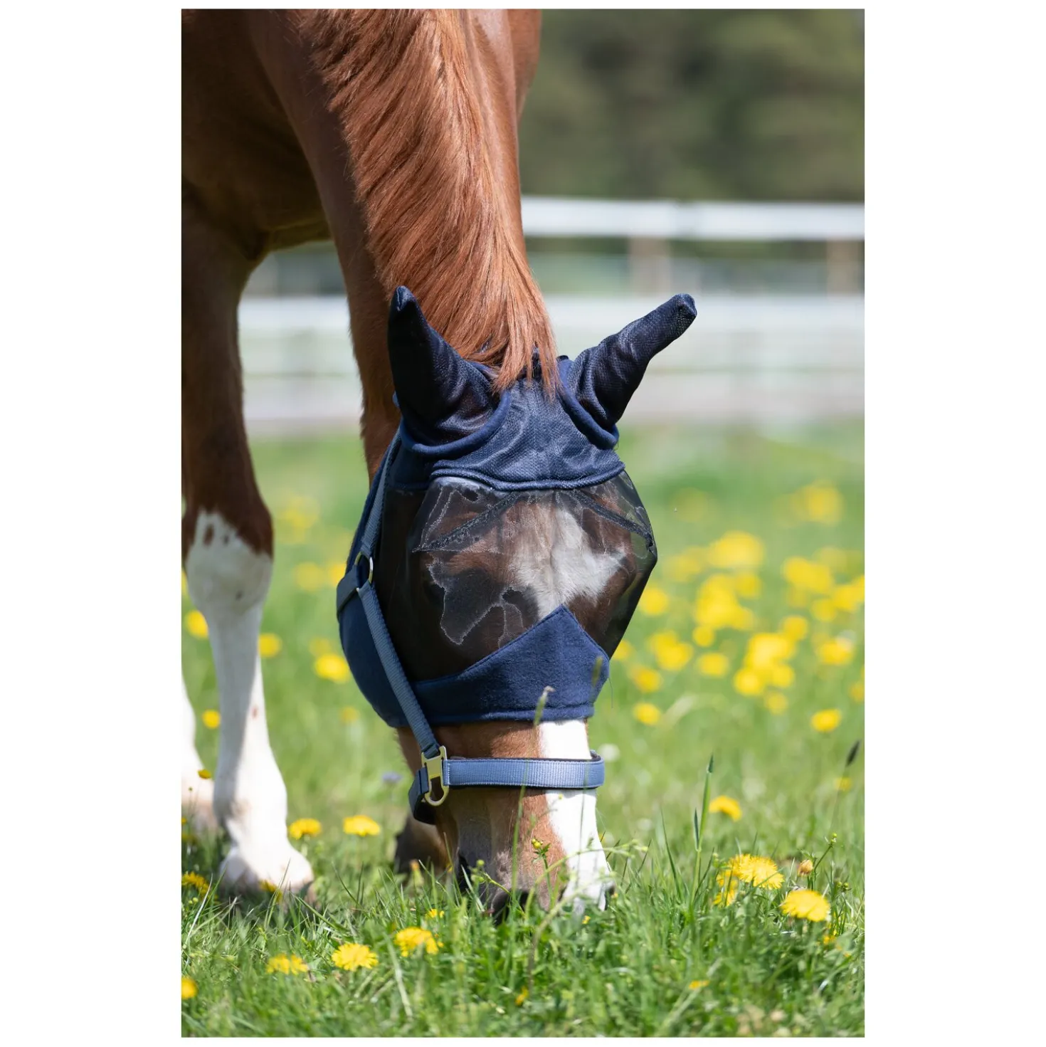 Horse-friends Fliegenmaske Buzz Protect