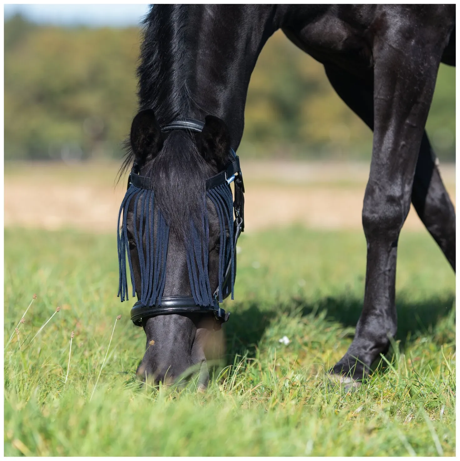 Horse-friends Fliegenstirnband