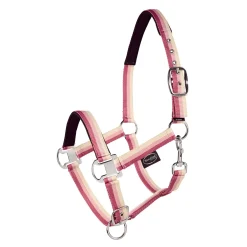 Horse-friends Halfter Basic mehrfarbig