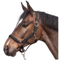Horse-friends Halfter Lima