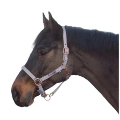 Horse-friends Halfter Lima