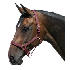 Horse-friends Halfter Lima