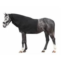 Horse-friends Halsteil