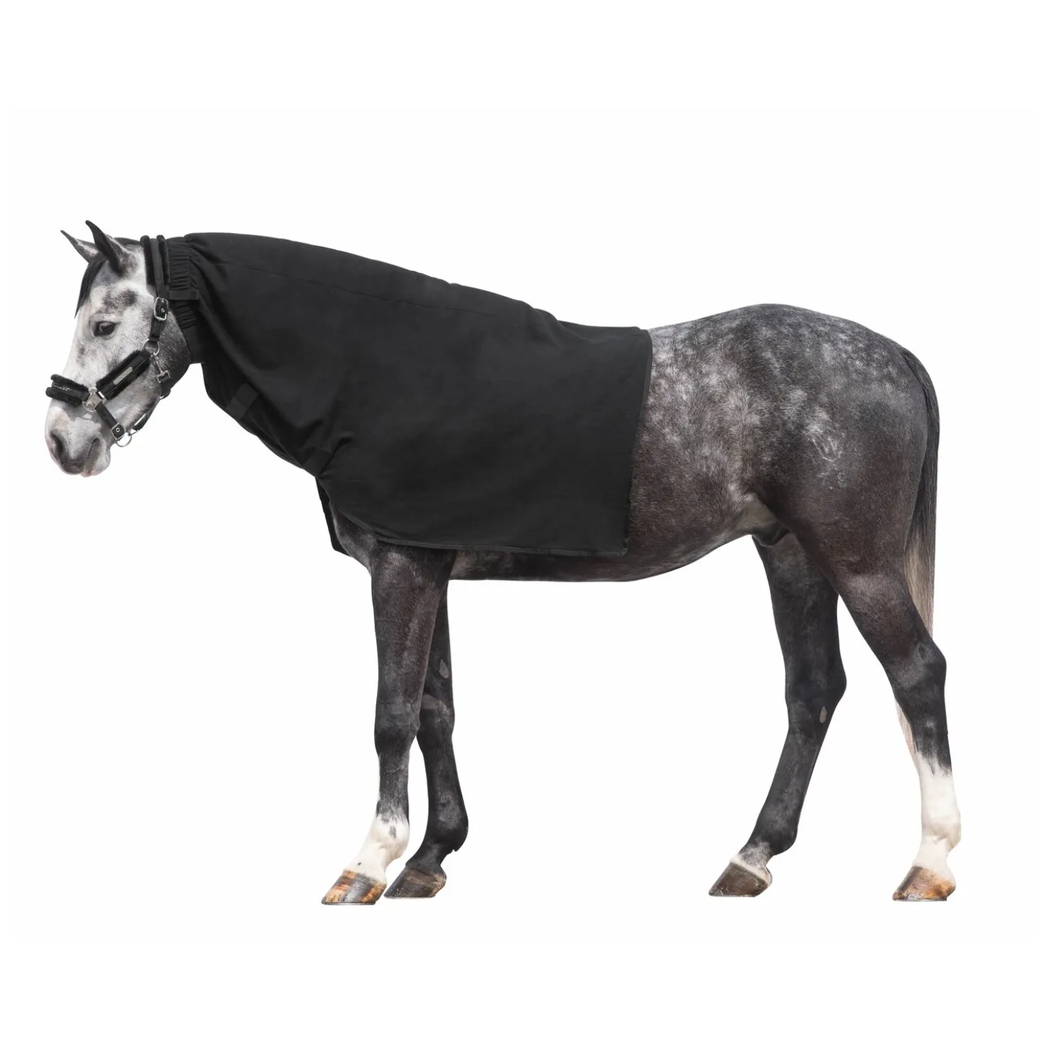 Horse-friends Halsteil
