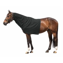 Horse-friends Halsteil