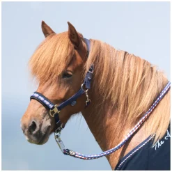 Horse-friends Island-Halfter Keflavik