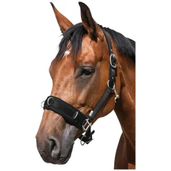 Horse-friends Longier- und Stallhalfter