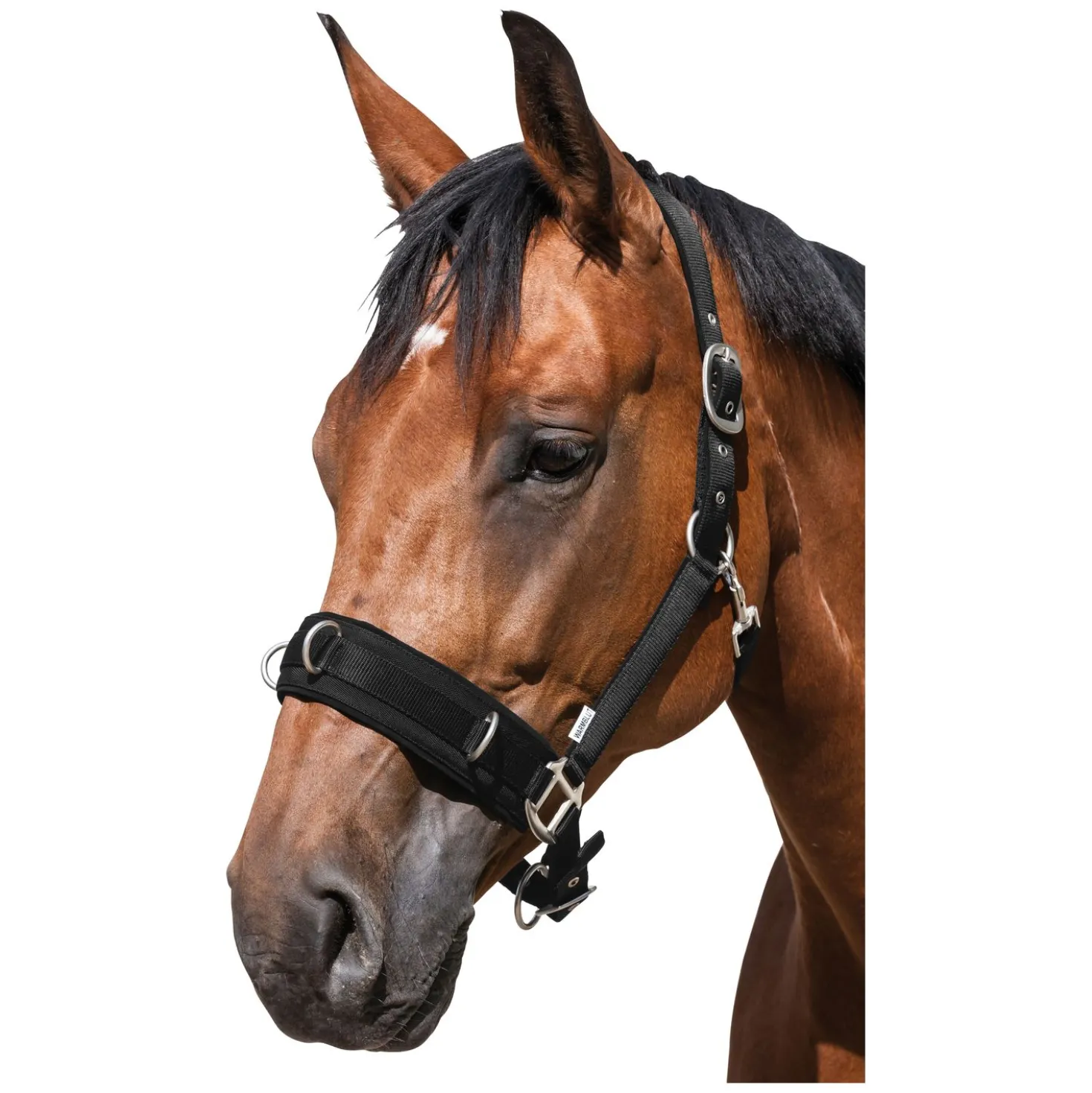 Horse-friends Longier- und Stallhalfter