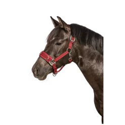 Horse-friends Longier- und Stallhalfter