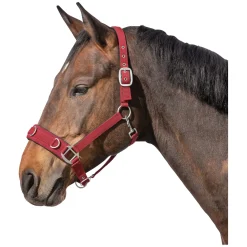 Horse-friends Longier- und Stallhalfter