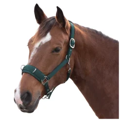 Horse-friends Longier- und Stallhalfter