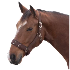 Horse-friends Longier- und Stallhalfter