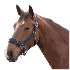 Horse-friends Longier- und Stallhalfter