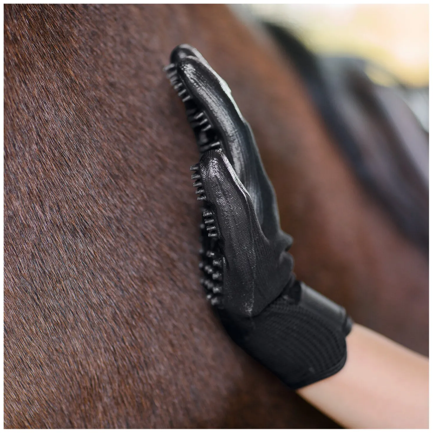 Horse-friends Pflegehandschuhe