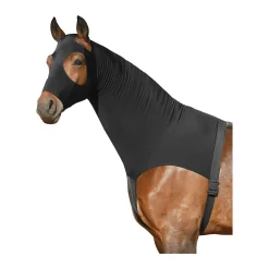 Horse-friends Sleezy