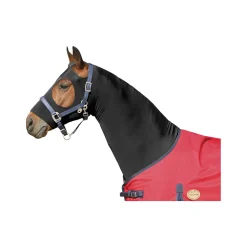 Horse-friends Sleezy