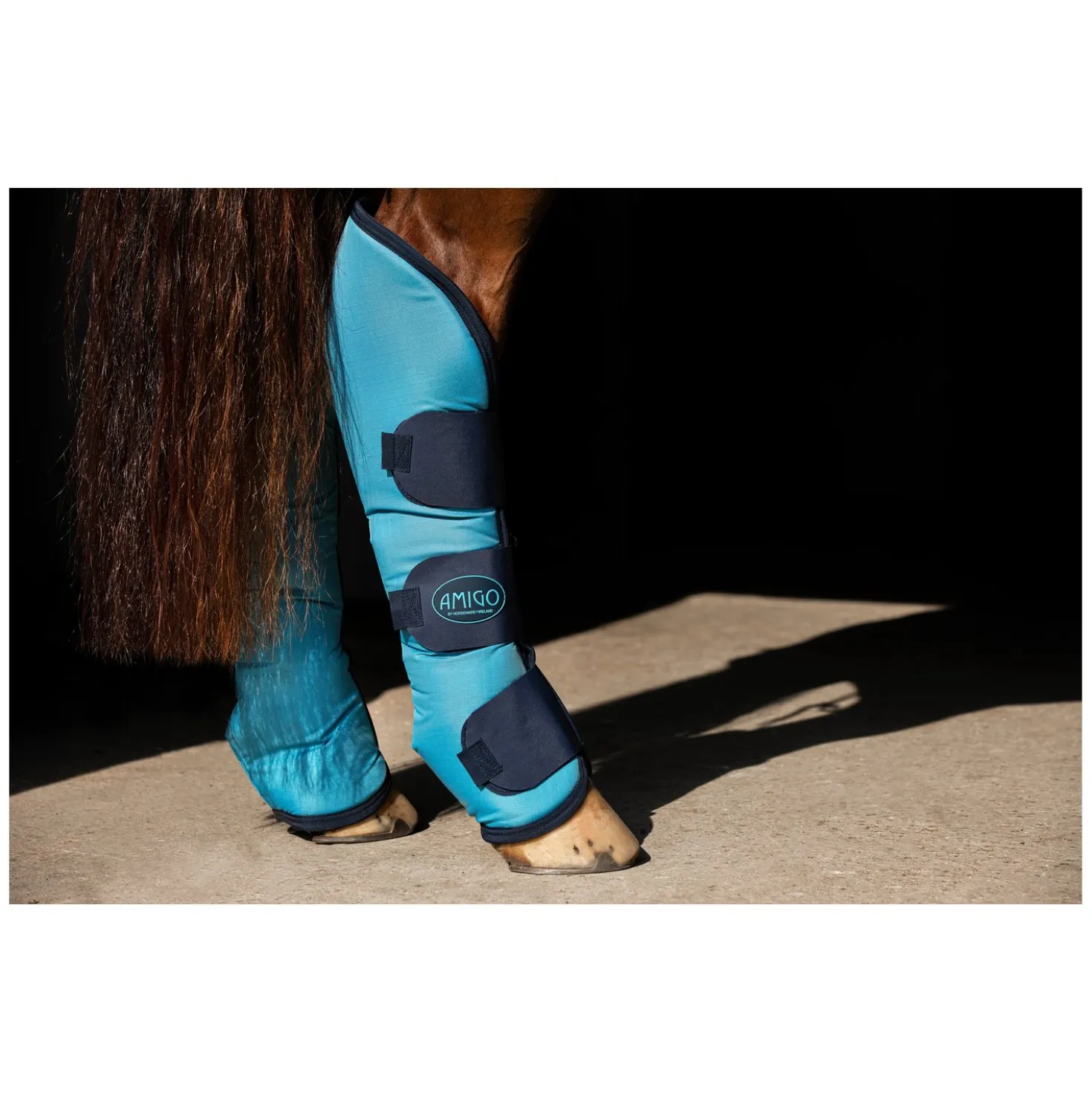 Horseware AMIGO Transportgamaschen-Set