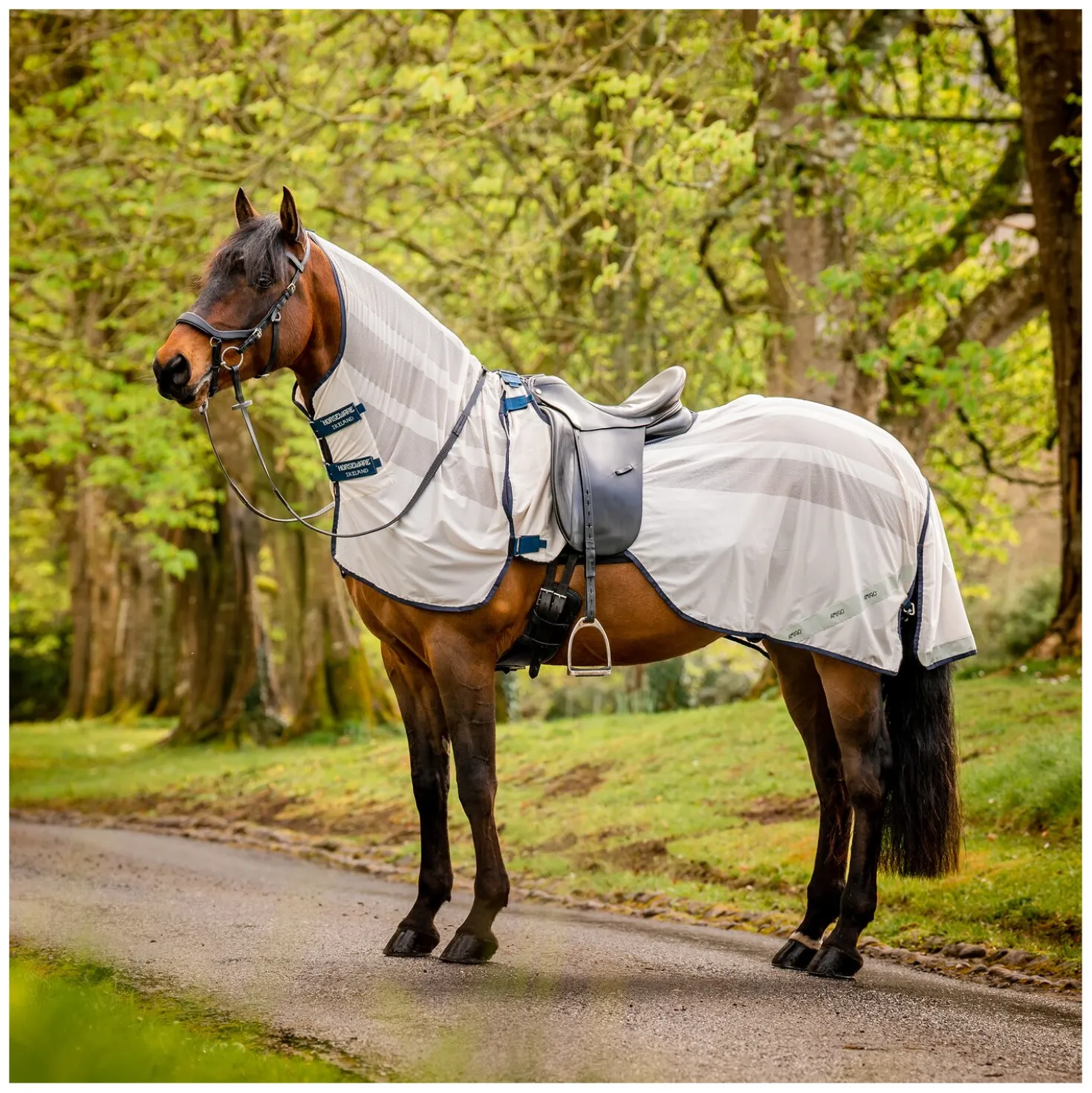 HORSEWARE Fliegenausreitdecke AMIGO Flyrider