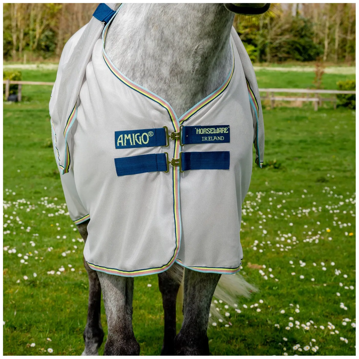 HORSEWARE Fliegendecke AMIGO Bug Rug