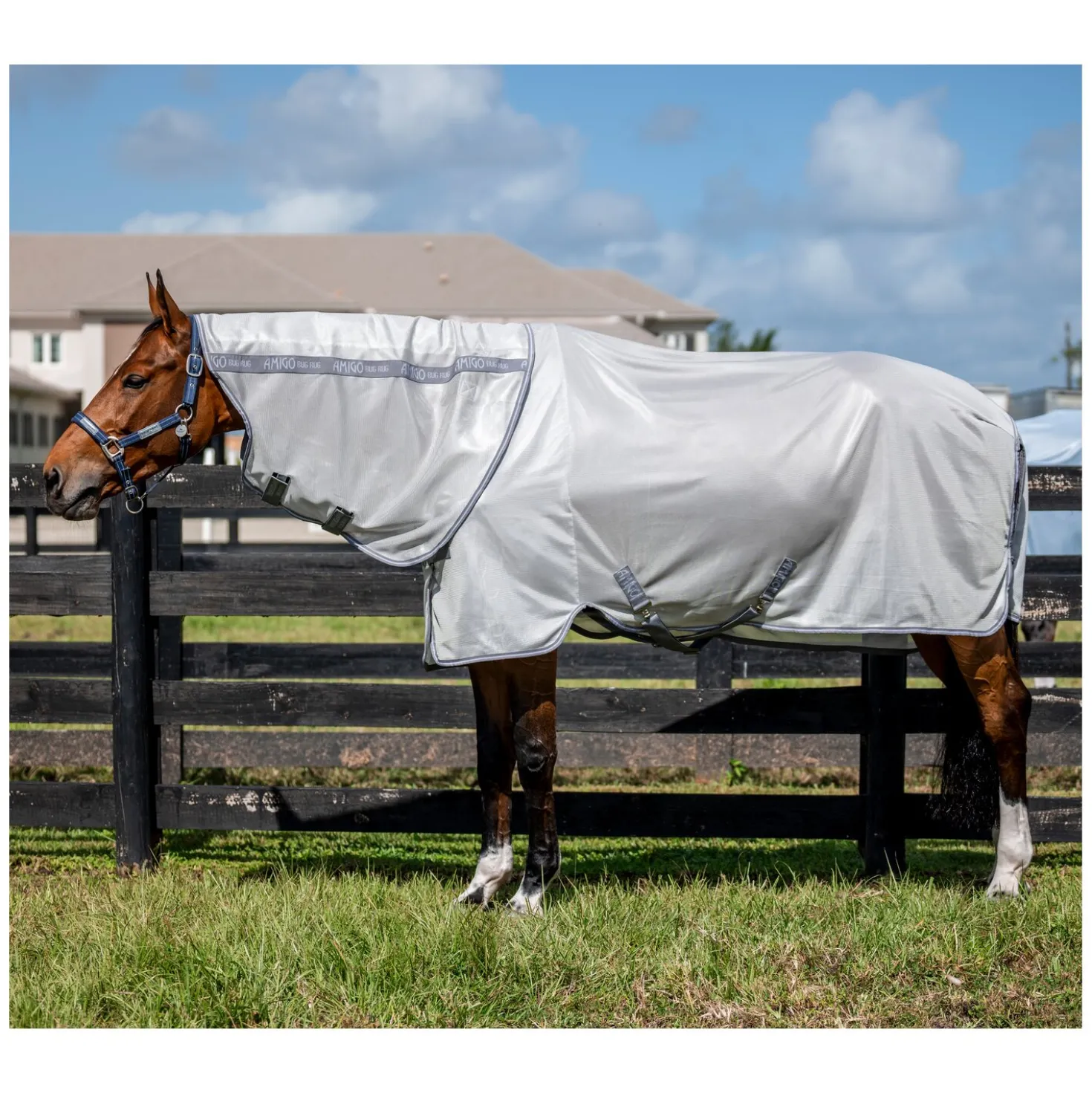 HORSEWARE Fliegendecke AMIGO Bug Rug