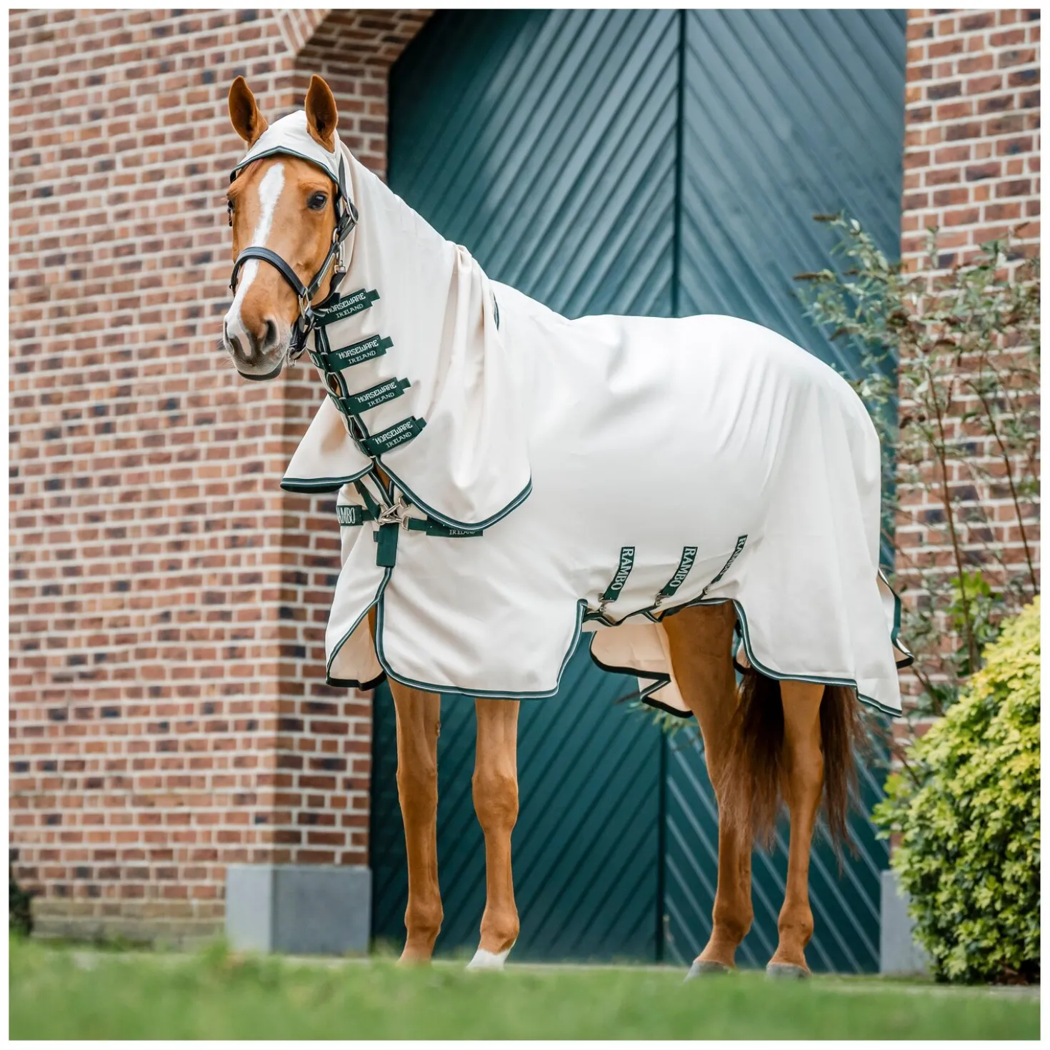 HORSEWARE Fliegendecke RAMBO Hoodie