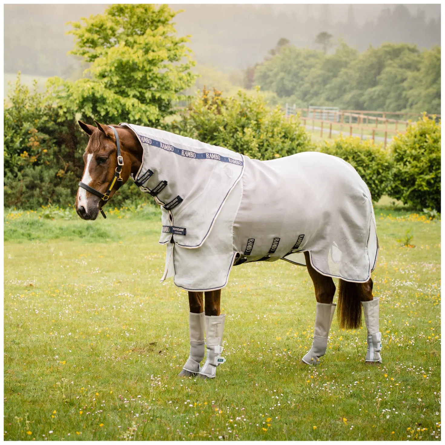 HORSEWARE Fliegendecke Rambo Protector Plus