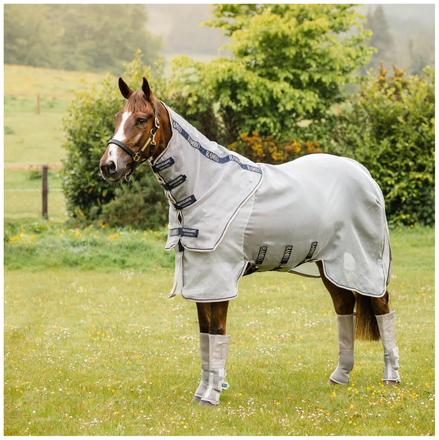 HORSEWARE Fliegendecke Rambo Protector Plus