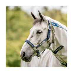 HORSEWARE Halfter Fieldsafe