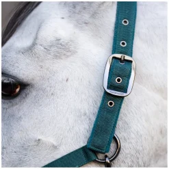 HORSEWARE Halfter und Führstrick