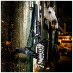 HORSEWARE Halfter und Führstrick Newmarket