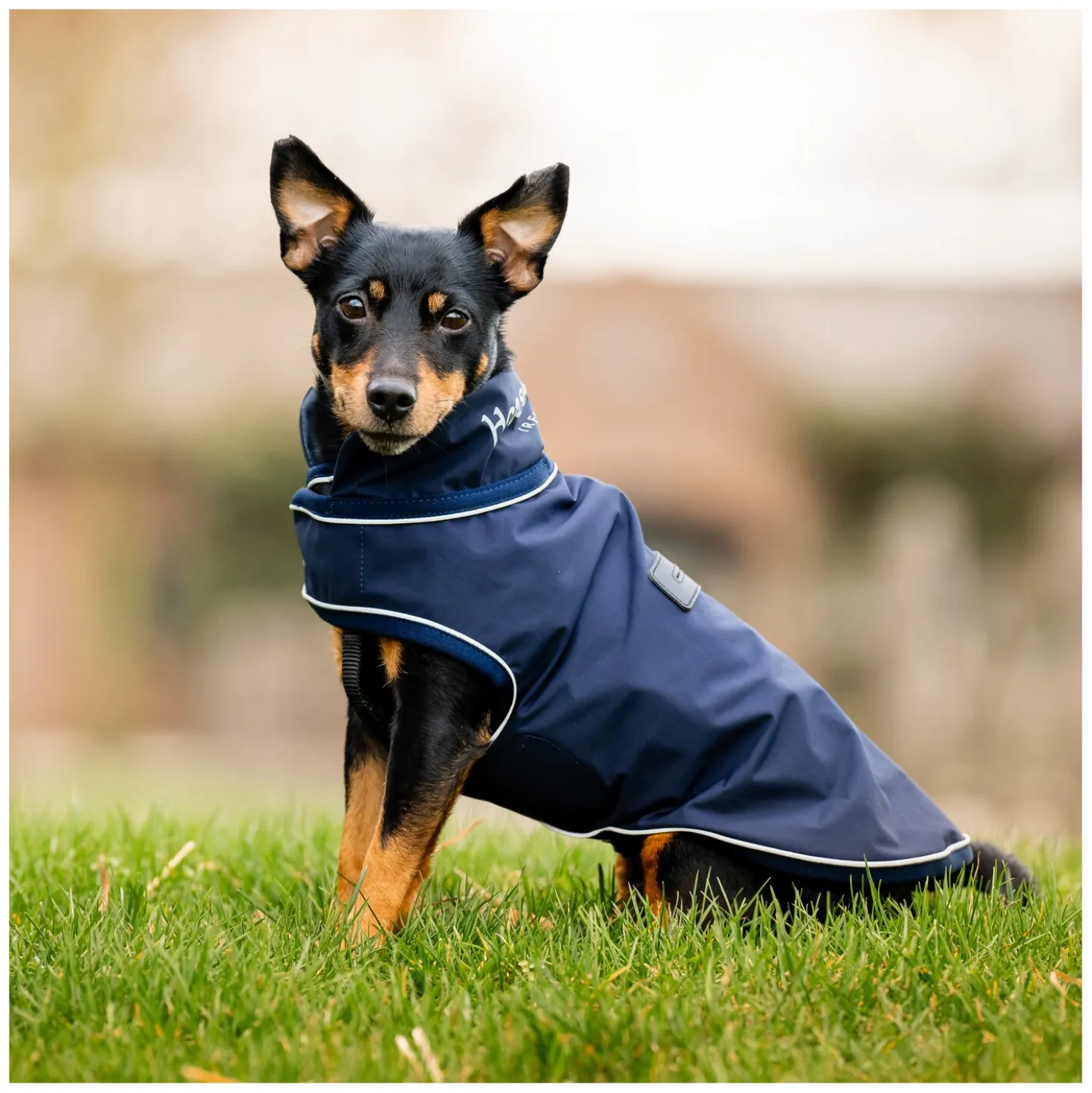 HORSEWARE Hunde-Regenmantel