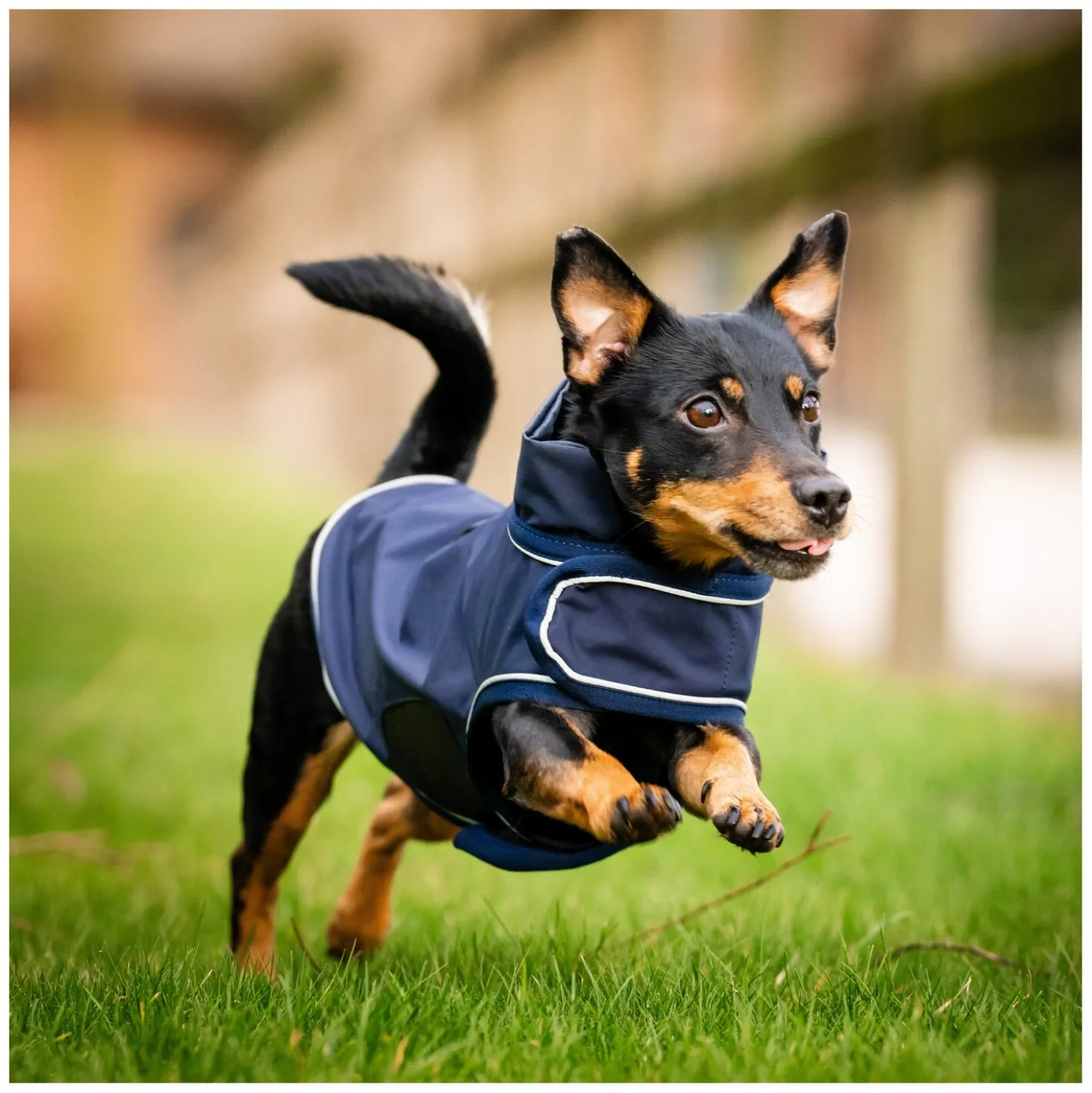 HORSEWARE Hunde-Regenmantel