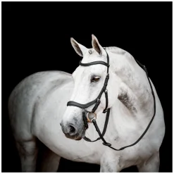 HORSEWARE Micklem Competition Bridle 3.0