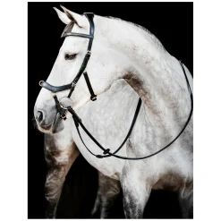 HORSEWARE Micklem 2 Multi Bridle