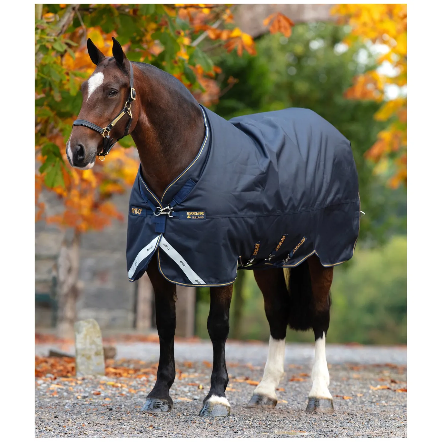 HORSEWARE Outdoordecke AMIGO Bravo 12 XL Original Medium