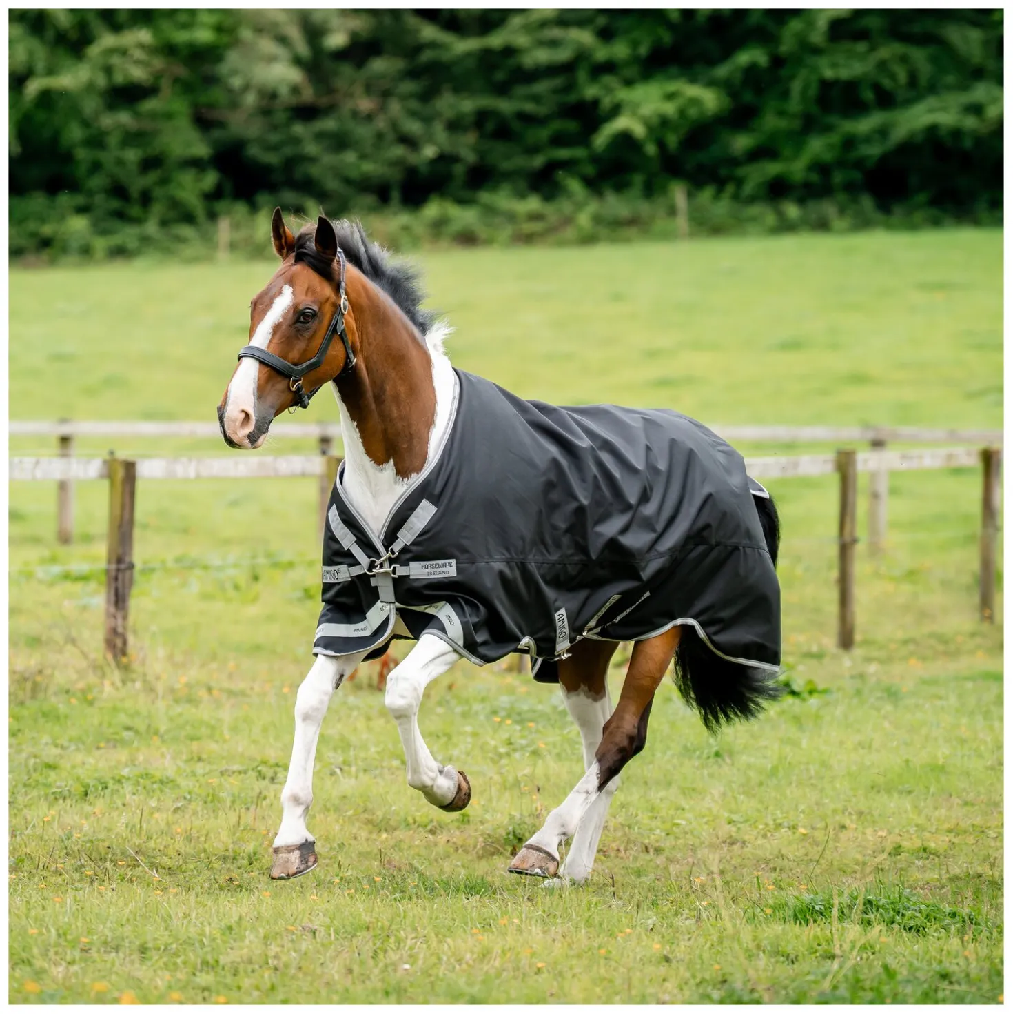 HORSEWARE Outdoordecke AMIGO 1200D, 100 g