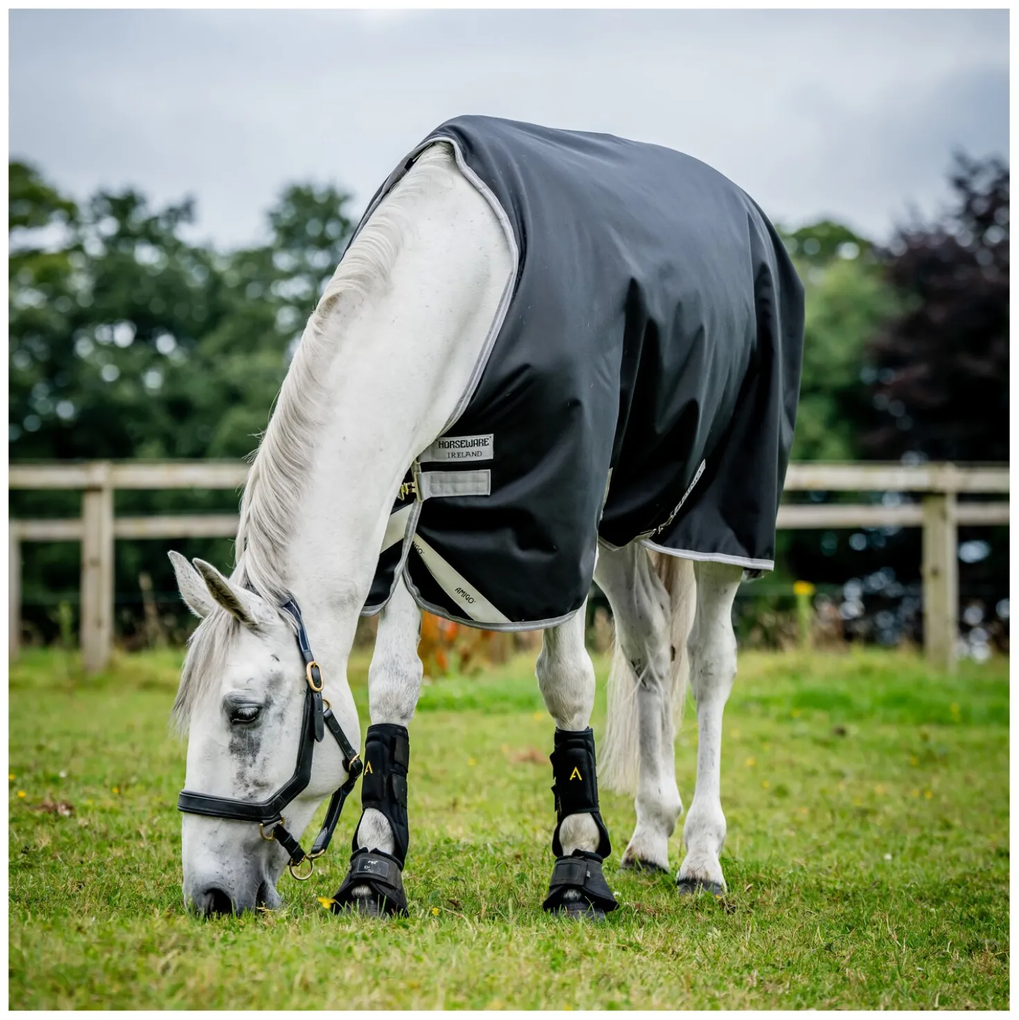 Horseware Outdoordecke AMIGO 12, 250 g