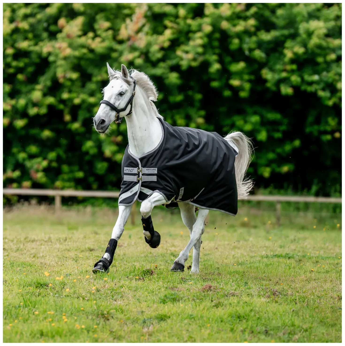 Horseware Outdoordecke AMIGO 12, 250 g