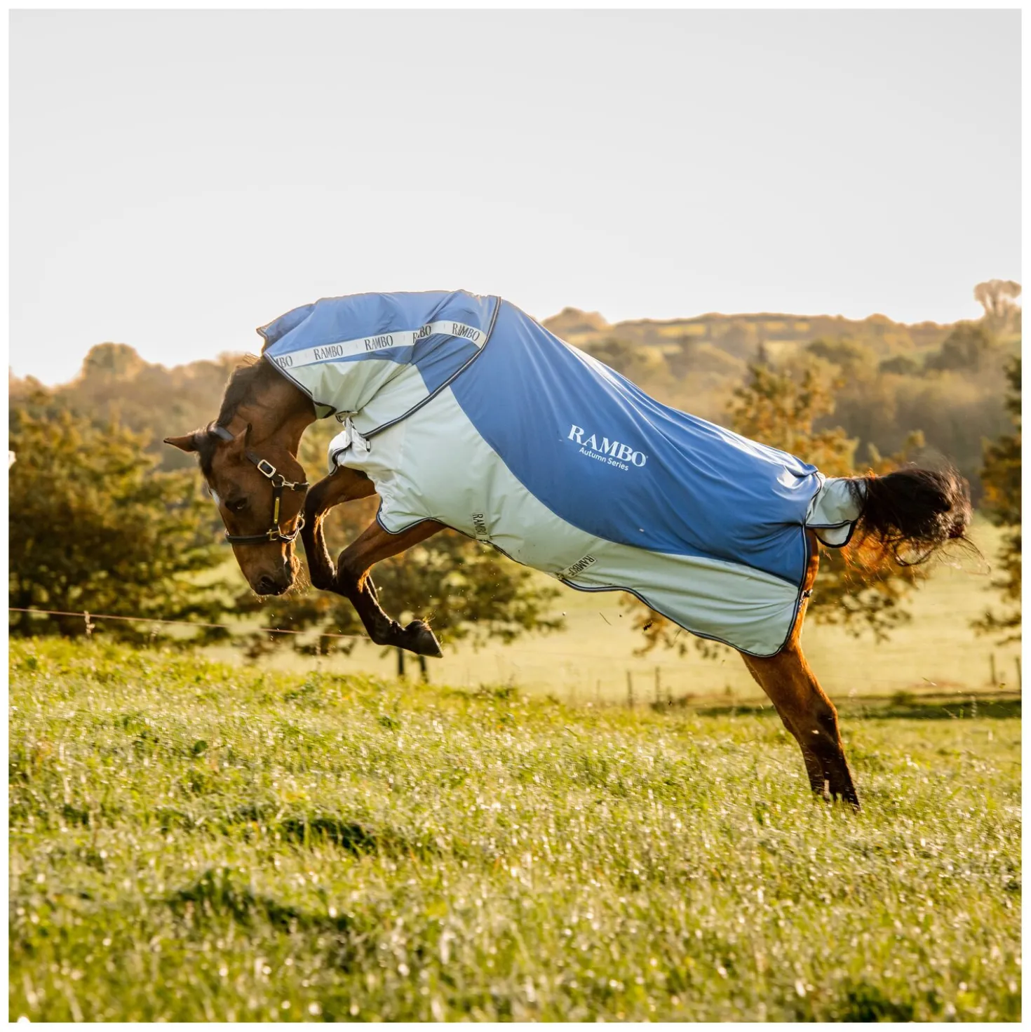 HORSEWARE Outdoor-/Weidedecke RAMBO Autumn Series