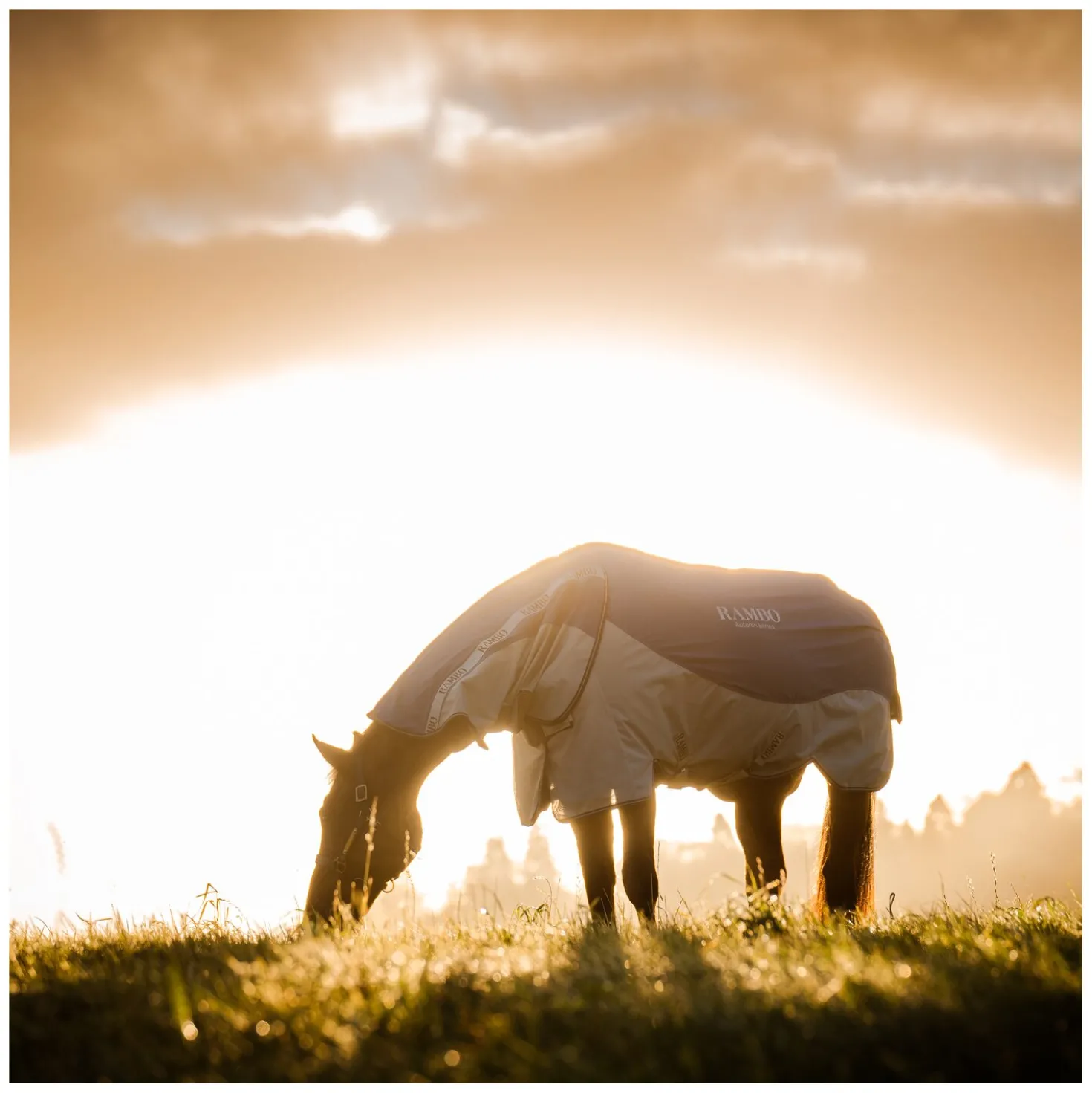 HORSEWARE Outdoor-/Weidedecke RAMBO Autumn Series