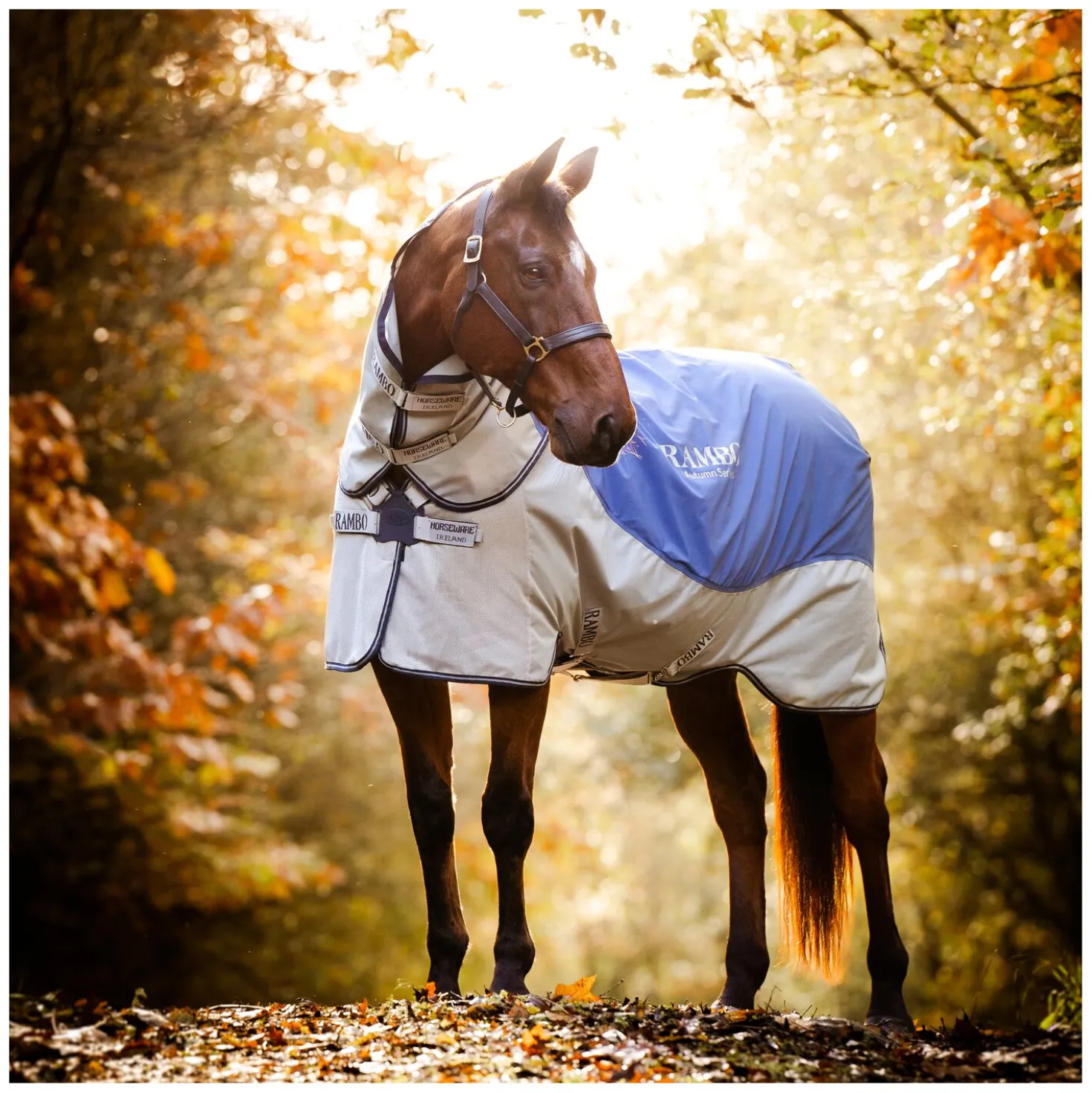 HORSEWARE Outdoor-/Weidedecke RAMBO Autumn Series