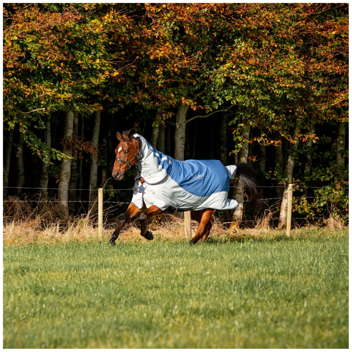 HORSEWARE Outdoor-/Weidedecke RAMBO Autumn Series