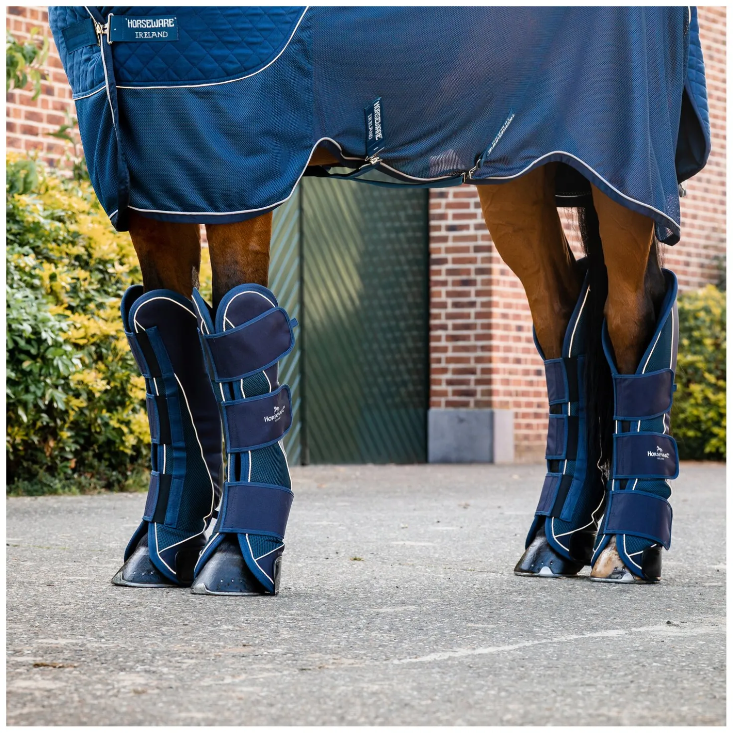 HORSEWARE Signature Transportgamaschen