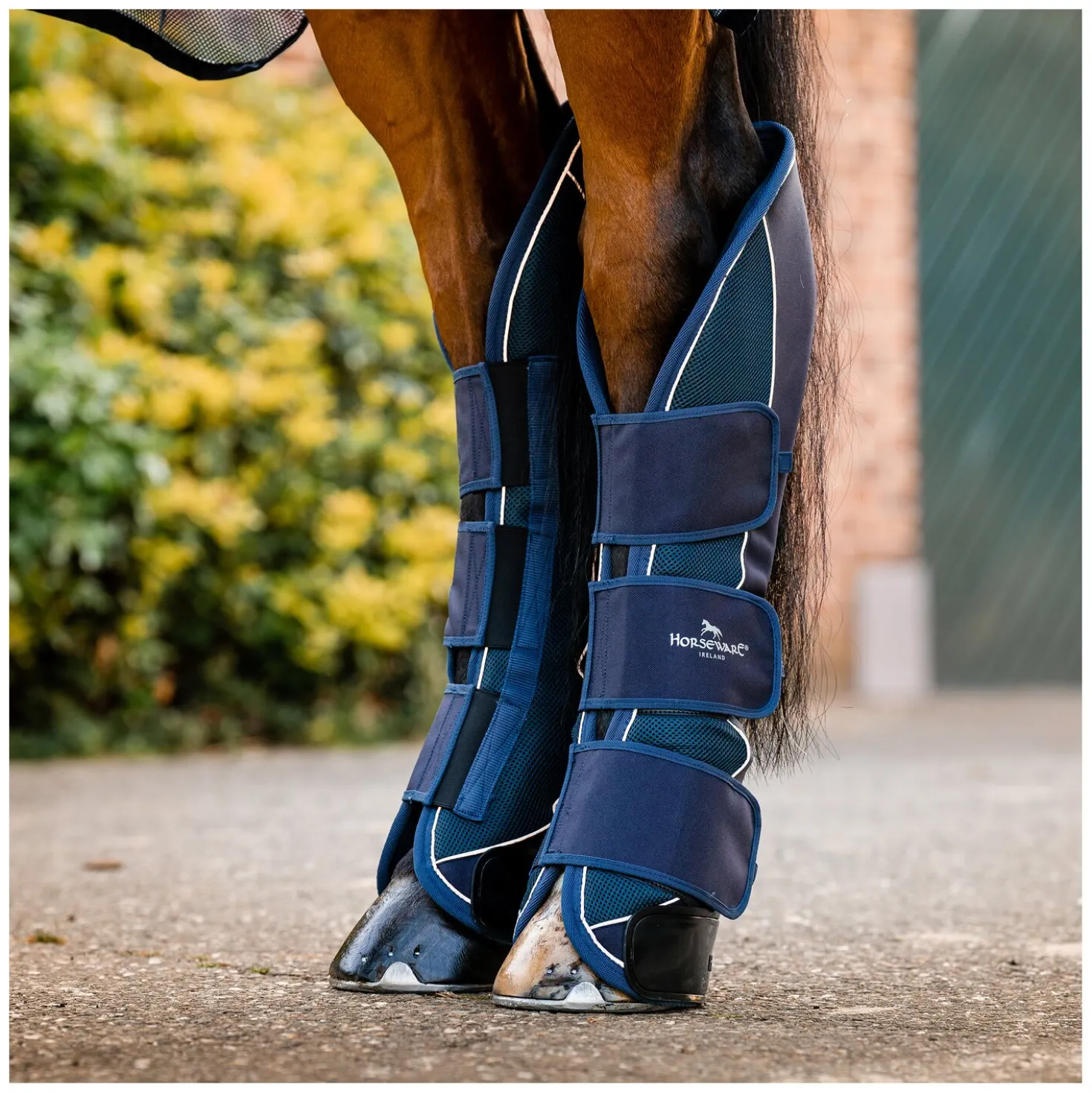 HORSEWARE Signature Transportgamaschen