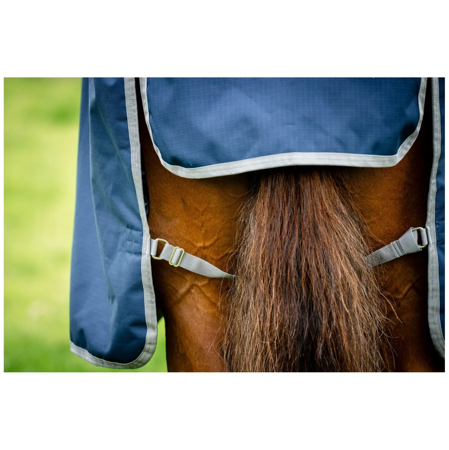 HORSEWARE Weidedecke AMIGO Ripstop 900 Denier, ohne Füllung