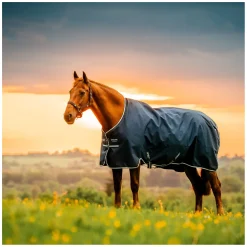HORSEWARE Weidedecke AMIGO Ripstop 900 Fleece Lining, 50 g