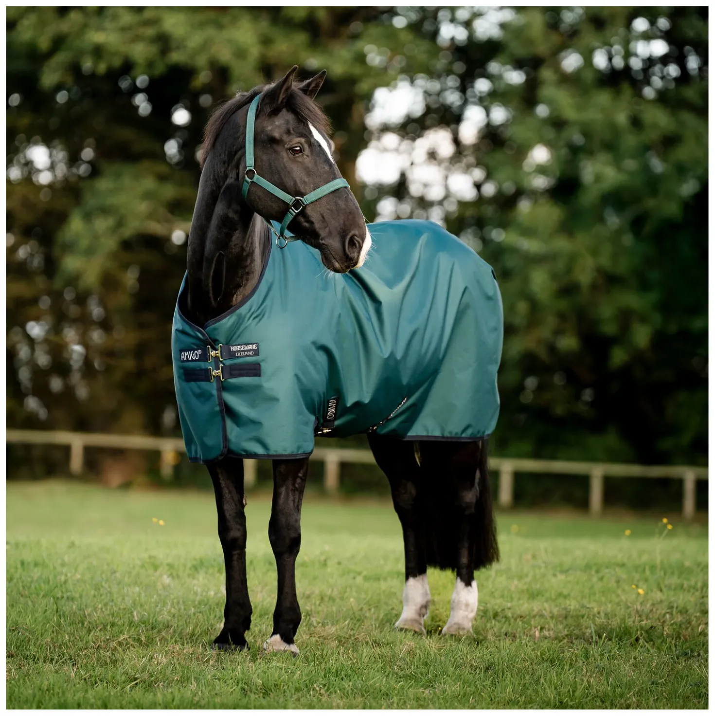 HORSEWARE Weidedecke AMIGO Ripstop 900 D Turnout, 200 g