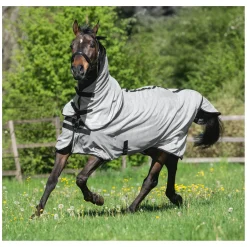 IRISh INNOVATION Fliegendecke Telde