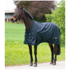 IRISh INNOVATION Outdoordecke Charlotte 50 g
