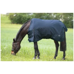IRISh INNOVATION Outdoordecke Charlotte 50 g